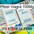 Pfizer Viagra 100Mg kamagra1